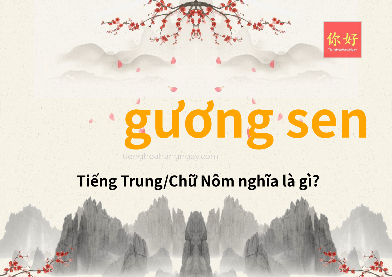 gương sen tiếng Trung là gì?